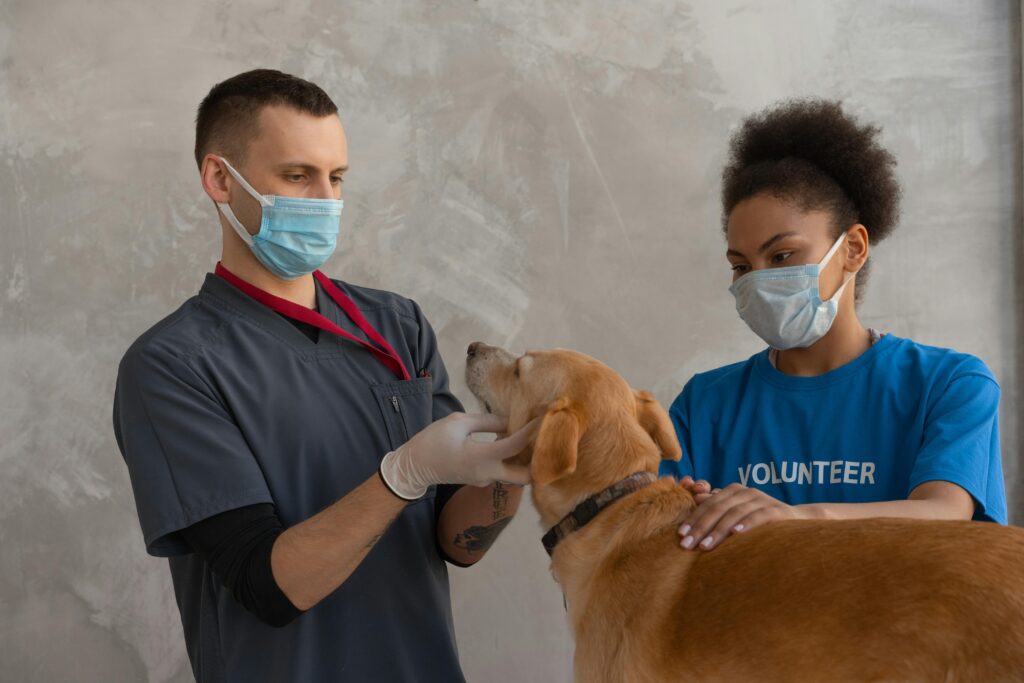 A veterinarian and a volunteer attend to a dog during a check-up in a veterinary clinic.