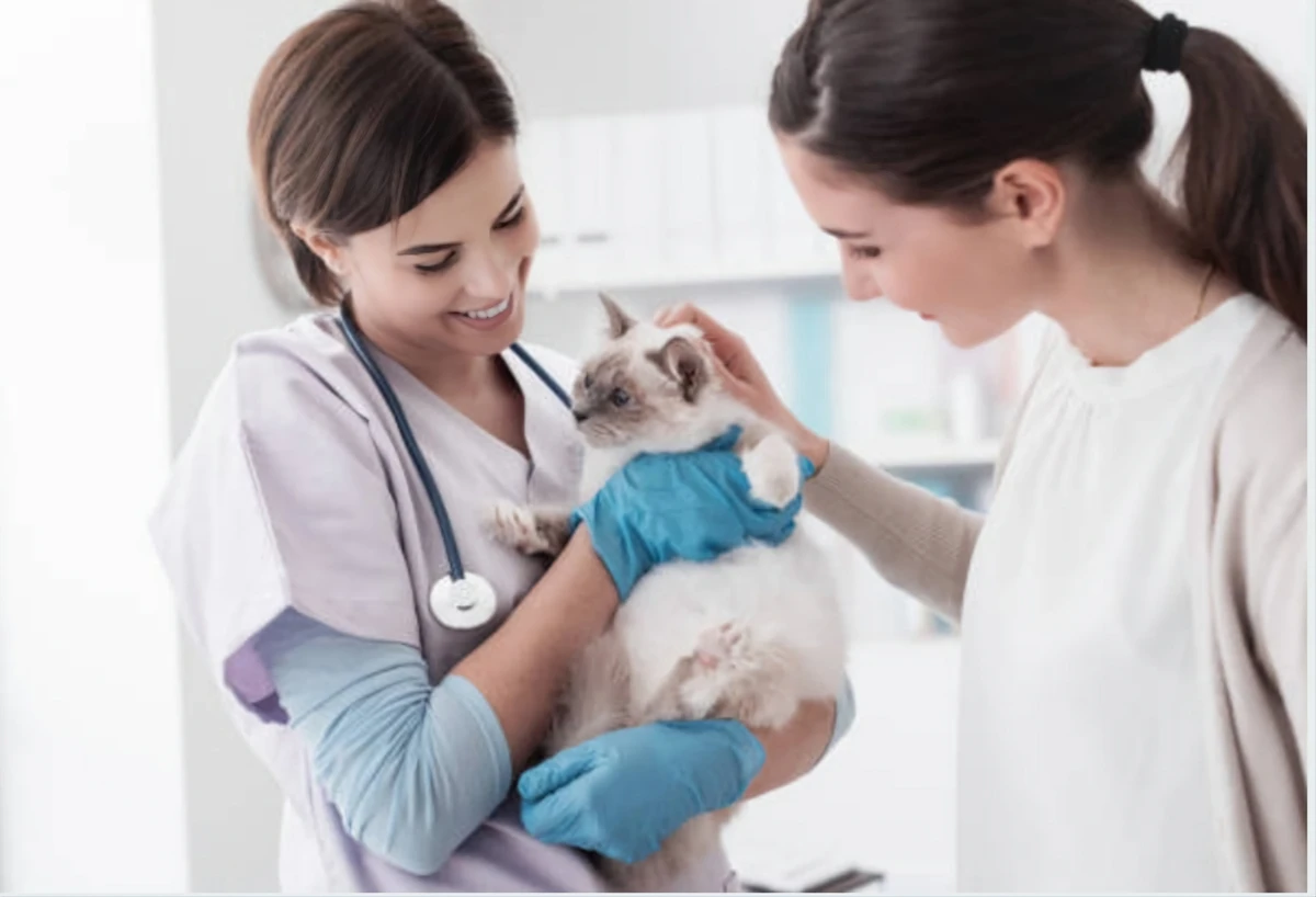 A vet examining a healthy-looking dog while the owner looks reassured 