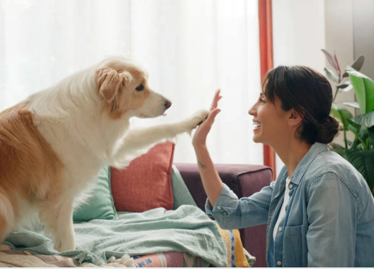 A dog high-fiving a smiling woman
